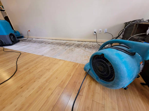 Professional Flood Damage Cleanup technician working in Cat Spring, TX